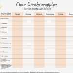 Speiseplan Für Eine Woche Vorlage Einzigartig Ernährung Erfolgreich Umstellen Ernährungstagebuch Und