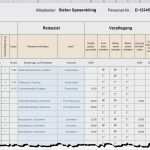 Spesenabrechnung Lkw Fahrer Vorlage Angenehm Nett Berichtsvorlage Excel Zeitgenössisch Entry Level