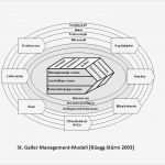 St Galler Management Modell Vorlage Beste Einige Informationsattribute Und Ihre Möglichen