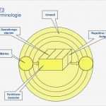 St Galler Management Modell Vorlage Fabelhaft St Galler Management Modell 1973 2002