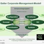 St Galler Management Modell Vorlage Wunderbar Das Corporate Surplus Discount Ppt Video Online