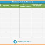 Stakeholder Map Vorlage Elegant Groß Stakeholder Analysevorlage Bilder Entry Level