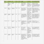 Stakeholder Map Vorlage Erstaunlich Example Of How to Conduct A Stakeholder Analysis