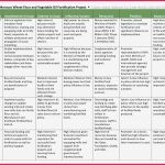 Stakeholder Map Vorlage Genial Gemütlich Projekt Stakeholder Analyse Vorlage