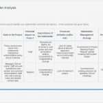 Stakeholder Map Vorlage Inspiration Stakeholder Profile Template