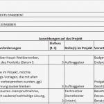 Stakeholderanalyse Excel Vorlage Cool Projektmanagement24 Blog Stakeholder Register In Excel