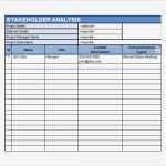 Stakeholderanalyse Excel Vorlage Neu 10 Stakeholder Analysis Samples