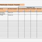 Stakeholderanalyse Vorlage Gratis Genial Stakeholder Analysis Template 9 Download Free Documents