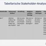 Stakeholderanalyse Vorlage Gratis Inspiration Fantastisch Projekt Stakeholder Analyse Vorlage Fotos