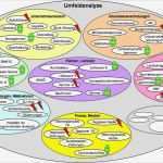 Stakeholderanalyse Vorlage Schönste Umfeldanalyse