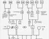 Stammbaum Erstellen Vorlage Hübsch Stammbaum – Geistesschulung