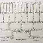 Stammbaum Vorlage 5 Generationen Beste Pedigree Charts 2