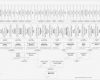 Stammbaum Vorlage 8 Generationen Wunderbar Familienbande Home