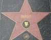 Star Of Fame Vorlage Erstaunlich Shrek S Star at the Hollywood Walk Of Fame – Stock