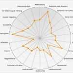 Stärken Schwächen Analyse Vorlage Schönste Potenzial Analyse