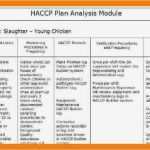 Stellenbeschreibung Teamleiter Vorlage Erstaunlich Erfreut Haccp Vorlage Zeitgenössisch Entry Level Resume