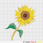 Stickbilder Kreuzstich Vorlagen Best Of Kreuzstich Kreativ sonnenblume