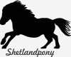 Sticker Vorlagen Gut 2 X Auto Aufkleber Shetlandpony &quot;shetland Pony &quot; Car