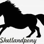 Sticker Vorlagen Gut 2 X Auto Aufkleber Shetlandpony &quot;shetland Pony &quot; Car