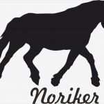 Sticker Vorlagen Neu 2 X Auto Aufkleber noriker Pferd &quot;noriker Horse&quot; Car