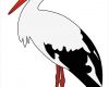 Storch Vorlage Erstaunlich Pin Storch On Pinterest