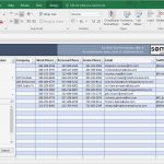 Store Check Vorlage Süß Contact List Template In Excel