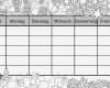 Stundenplan Vorlage Grundschule Erstaunlich Krabbelwiese Stundenplan Mit Egon