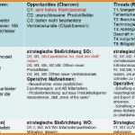 Swot Analyse Vorlage Elegant 8 Swot Matrix Beispiel