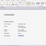 Tabellarischer Lebenslauf Vorlage Word Schön Einfacher Tabellarischer Lebenslauf In Word