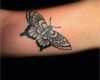 Tattoo Vorlagen Schmetterling Genial Tattoo Dotwork Schmetterling