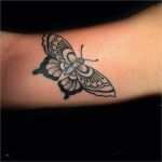 Tattoo Vorlagen Schmetterling Genial Tattoo Dotwork Schmetterling