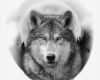 Tattoo Vorlagen Wolf Cool Black and Grey Realistic Wolf sonstiges