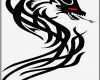 Tattoos Namen Vorlagen Kostenlos Best Of Luxus Dragon Tribal Tattoo Vorlage Drachen Avec Tribal