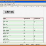 Telefonliste Vorlage Kostenlos Einzigartig 10 Telefonliste Excel Vorlage Kostenlos