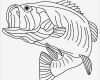 Teppich Knüpfen Vorlagen Luxus Sea Predator Striped Bass Fish Coloring Pages