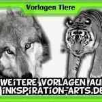 Tiere Kneten Vorlagen Einzigartig Tiere Tattoo Vorlagen Tätowieren Lassen