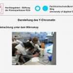 Uni Bonn Powerpoint Vorlage Beste Hochbegabten Stiftung Der Kreissparkasse Köln Ppt