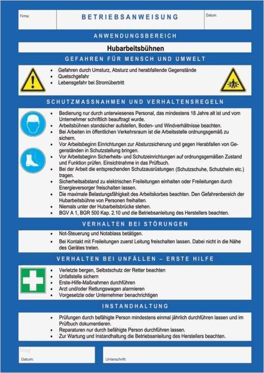 Unterweisung Ladungssicherung Vorlage Best Of Dguv Information 208 019 ...