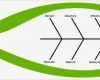 Ursache Wirkungs Diagramm Vorlage Beste ishikawa Diagramm Fischgrätendiagramm