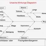 Ursache Wirkungs Diagramm Vorlage Bewundernswert Groß Vorlage Für Fischgrätendiagramm Galerie