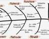 Ursache Wirkungs Diagramm Vorlage Einzigartig Problemlösung Im Projekt so Funktioniert ishikawa