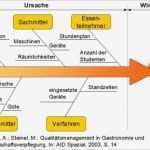 Ursache Wirkungs Diagramm Vorlage Einzigartig Qualitätsmanagementhandbuch