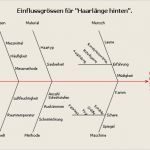 Ursache Wirkungs Diagramm Vorlage Luxus ishikawa Diagramm Six Sigma Lexikon