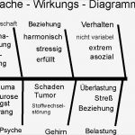 Ursache Wirkungs Diagramm Vorlage Süß total Quality Management