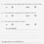 Usability Fragebogen Vorlage Genial Erfreut Fragebogen Vorlage Zeitgenössisch Beispiel