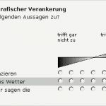 Usability Fragebogen Vorlage Inspiration Fein Likert Skala Fragebogen Vorlage Bilder Entry Level