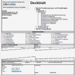 Vda Label Excel Vorlage Neu Erstmusterprüfbericht Lometec