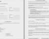 Verbandbuch Vorlage Excel Wunderbar tolle Auto Wartungsplan Vorlage Ideen Entry Level Resume