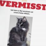 Vermisstenanzeige Katze Vorlage Neu Hilfe Unser Büsi ist Weg