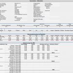 Vertriebsplanung Excel Vorlage Schönste Ausgezeichnet Mitarbeiterlistenvorlage Bilder Ideen